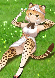 Rule 34 | 10s, 1girl, animal ears, black bow, black bowtie, blonde hair, blush, bow, bowtie, breasts, bug, butterfly, choir (artist), closed mouth, convenient leg, elbow gloves, fur collar, gloves, gradient hair, grass, highres, insect, jaguar (kemono friends), jaguar ears, jaguar print, jaguar tail, kemono friends, lying, medium breasts, multicolored hair, no panties, object on head, on back, panties, panties on head, shirt, short hair, sleeveless, sleeveless shirt, smile, solo, tail, thighhighs, two-tone hair, underwear, white hair, white panties, white shirt, yellow eyes