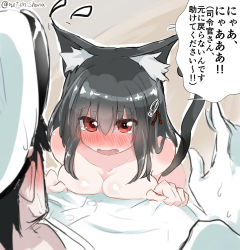 Rule 34 | 1boy, 1girl, admiral (kancolle), animal ears, black hair, blush, breast press, breasts, brown eyes, cat ears, cat tail, cleavage, clothed male nude female, commentary request, flying sweatdrops, gloves, haguro (kancolle), hair between eyes, hair ornament, hat, kantai collection, kemonomimi mode, medium breasts, nose blush, not on shana, nude, open mouth, speech bubble, sweat, tail, translation request, twitter username, white gloves