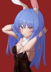Rule 34 | 1girl, animal ear fluff, animal ears, armpits, arms up, bad id, bad pixiv id, bare arms, bare back, bare shoulders, black leotard, blue hair, blush, breasts, cleavage, covered navel, eyebrows, from side, hands in hair, head tilt, highres, hololive, leotard, long hair, looking at viewer, medium breasts, navel, parted bangs, parted lips, playboy bunny, rabbit ears, red background, red eyes, shawl, sidelocks, simple background, slit pupils, solo, usada pekora, usada pekora (1st costume), very long hair, virtual youtuber, yihsien