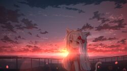 Rule 34 | 1girl, animal ears, bow, bridge, cat ears, cat girl, cat tail, chinese commentary, closed mouth, cloud, commentary request, gradient sky, hair bow, highres, horizon, light particles, long hair, looking at viewer, ocean, original, outdoors, red bow, red eyes, rune xiao, scenery, short sleeves, signature, sky, smile, solo, sunset, tail, upper body, white hair