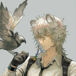 Rule 34 | 1boy, animal ear fluff, animal ears, arknights, bird, black gloves, blue eyes, chinese commentary, collarbone, collared shirt, gloves, hair between eyes, hair ornament, hand up, looking at viewer, loose necktie, lowres, male focus, messy hair, necktie, open mouth, parted lips, pointy nose, shirt, silverash (arknights), silverash (elite ii) (arknights), simple background, solo, upper body, white hair, white shirt, yellow eyes, zel (o q)
