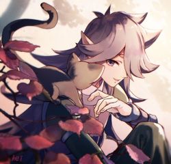 Rule 34 | 2boys, aki963852, black cat, black hair, branch, cat, fengxi (the legend of luoxiaohei), hair over one eye, hand up, leaf, long hair, luo xiaohei, luo xiaohei (cat), luo xiaohei zhanji, multiple boys, parted lips, pointy ears, purple eyes, smile, upper body