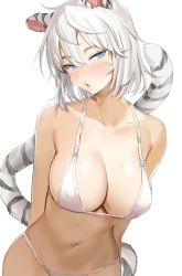 Rule 34 | 1girl, animal ears, arms behind back, bare arms, bare shoulders, blue eyes, bra, breasts, cleavage, collarbone, freng, half-closed eyes, hoyoung (maplestory), large breasts, looking at viewer, maplestory, navel, original, panties, parted lips, scar, scar on face, short hair, simple background, solo, stomach, string bra, string panties, sweat, tail, tiger ears, tiger girl, tiger tail, underwear, underwear only, upper body, white background, white bra, white hair, white panties