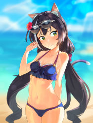 Rule 34 | 1girl, 3:, animal ear fluff, animal ears, backlighting, beach, bikini, black hair, blurry, blurry background, bokeh, breasts, cat ears, cat tail, closed mouth, commentary request, cowboy shot, day, depth of field, eyewear on head, flower, gom (kooskoo), green eyes, hair flower, hair ornament, highres, karyl (princess connect!), karyl (summer) (princess connect!), long hair, low twintails, multicolored hair, navel, outdoors, princess connect!, small breasts, solo, streaked hair, sunglasses, sunlight, swimsuit, tail, twintails, very long hair