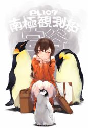 Rule 34 | 1girl, 3others, animal, bag, bird, blush, braid, brown hair, closed mouth, commentary request, dated, emperor penguin, full body, hair between eyes, hand on own chin, head rest, highres, jacket, kantai collection, long hair, long sleeves, looking at viewer, multiple others, n:go, orange eyes, orange jacket, orange shirt, pantyhose, penguin, pleated skirt, shirt, simple background, single braid, sitting, skirt, smile, souya (kancolle), white background, white pantyhose, white skirt