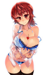 Rule 34 | 1girl, areola slip, bad id, bad pixiv id, between breasts, black thighhighs, blue bra, blue panties, blush, bra, breasts, cherry, cleavage, collarbone, food, fruit, kusanagi tonbo, lace, lace-trimmed bra, lace trim, large breasts, lingerie, no pants, off shoulder, original, panties, red eyes, red hair, see-through, shirt, simple background, smile, solo, thigh gap, thighhighs, underwear, wet, wet clothes, wet shirt, white background
