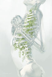 Rule 34 | artist name, grey background, highres, original, own hands together, plant, rido (ridograph), see-through, simple background, skeleton, skull, solo, white background