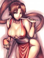 Rule 34 | 1girl, breasts, brown eyes, brown hair, cleavage, folded fan, hand fan, fatal fury, folding fan, fumio (rsqkr), japanese clothes, large breasts, leaning forward, long hair, pelvic curtain, ponytail, shiranui mai, snk, solo, the king of fighters, very long hair