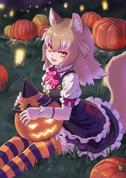 Rule 34 | 1girl, animal ears, black dress, black hat, bow, bowtie, commentary, dress, frilled dress, frills, halloween, halloween costume, hat, hat bow, high collar, highres, japanese wolf (kemono friends), kemono friends, kemono friends 3, kosai takayuki, light brown hair, long hair, multicolored hair, official alternate costume, orange bow, orange eyes, orange thighhighs, puffy short sleeves, puffy sleeves, pumpkin, purple thighhighs, red bow, red bowtie, shirt, short sleeves, sitting, solo, striped clothes, striped thighhighs, symbol-only commentary, tail, thighhighs, two-tone hair, two-tone thighhighs, unworn hat, unworn headwear, white hair, white shirt, witch hat, wolf ears, wolf girl, wolf tail, zettai ryouiki