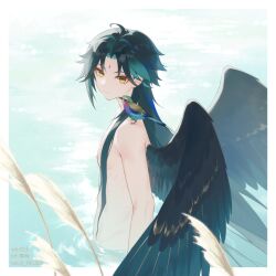 Rule 34 | 1boy, alternate hairstyle, animal, animal on shoulder, bird, bird on shoulder, black hair, black wings, closed mouth, facial mark, feathered wings, forehead mark, genshin impact, green hair, highres, lofter username, long hair, looking at viewer, male focus, multicolored hair, nipples, nude, rj (lingshih10), solo, twitter username, wading, water, wings, xiao (genshin impact), yellow eyes