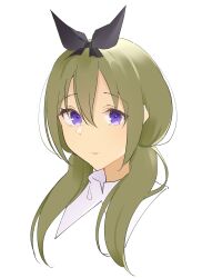 Rule 34 | 1girl, absurdres, assault lily, black bow, bow, closed mouth, commentary request, cropped shoulders, green hair, hair between eyes, hair bow, hair over shoulder, highres, long hair, looking ahead, low twintails, natsumiya kuina, portrait, purple eyes, school uniform, simple background, solo, twintails, white background, yamanashi hibari, yurigaoka girls academy school uniform