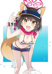 Rule 34 | 1girl, animal ear fluff, animal ears, bikini, black hair, blue archive, blue shorts, blush, breasts, cleavage, cropped legs, denim, denim shorts, eyeshadow, fang, feet out of frame, fox ears, fox shadow puppet, fox tail, halo, highres, izuna (blue archive), izuna (swimsuit) (blue archive), looking at viewer, makeup, medium breasts, official alternate costume, open mouth, pearlgang e, pink eyeshadow, pink halo, pink scarf, scarf, short hair, short shorts, shorts, skin fang, smile, solo, striped bikini, striped clothes, swimsuit, tail, yellow eyes