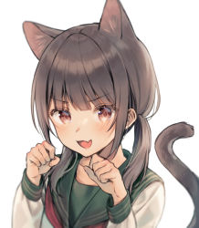 Rule 34 | :d, animal ear fluff, animal ears, black hair, brown eyes, cat ears, cat girl, cat tail, commentary request, fang, green sailor collar, hair over shoulder, hands up, long hair, long sleeves, looking at viewer, low twintails, midorikawa you, open mouth, original, paw pose, sailor collar, school uniform, serafuku, shirt, simple background, smile, solo, tail, tail raised, twintails, upper body, v-shaped eyebrows, white background, white shirt