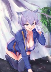 Rule 34 | 1girl, all fours, animal ear fluff, animal ears, black thighhighs, blue eyes, blue jacket, blush, bra, breasts, cat ears, cat tail, cleavage, crossed bangs, gloves, gotland (kancolle), hagane (steel6636), hair between eyes, half gloves, jacket, kantai collection, large breasts, long hair, long sleeves, looking at viewer, mole, mole under eye, open clothes, open jacket, open mouth, panties, paw pose, petals, plant, potted plant, purple bra, purple hair, purple panties, solo, tail, thighhighs, underwear, white gloves