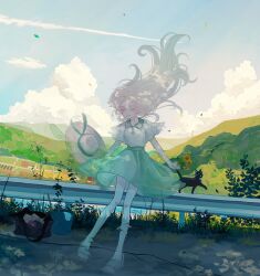 Rule 34 | 1girl, absurdres, aqua skirt, artist name, bag, black cat, blue sky, brown footwear, bucket, cat, closed eyes, cloud, commentary, contrail, dappled sunlight, day, facing viewer, floating hair, flower, full body, ghost, grass, hat, highres, hill, ivelovedsekaowa, landscape, long hair, original, outdoors, plant, road, sandals, scenery, shirt, signature, skirt, sky, smile, smudge, solo, straw hat, sun hat, sunflower, sunlight, transparent, unworn headwear, white hair, white shirt, wind