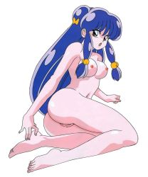 Rule 34 | 1girl, ass, blue hair, breasts, cleft of venus, legs, long hair, nipples, nude, pussy, ranma 1/2, shampoo (ranma 1/2), solo, tagme, thighs, uncensored