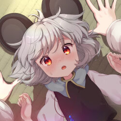Rule 34 | 1girl, 1other, animal ears, black dress, blush, capelet, dress, grey capelet, grey hair, highres, iris anemone, jewelry, long sleeves, looking at viewer, mouse ears, nazrin, open mouth, pendant, red eyes, shirt, short hair, solo focus, tatami, touhou, twitter username, white shirt, yukadon
