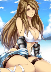 Rule 34 | 10s, 1girl, bare shoulders, belt, belt skirt, beltskirts, breasts, brown eyes, brown hair, cleavage, closed mouth, collarbone, day, earrings, gauntlets, granblue fantasy, jewelry, katalina (granblue fantasy), large breasts, long hair, looking at viewer, navel, sitting, smile, solo, stomach, thigh strap, tobisawa