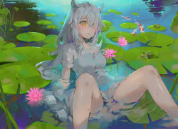 Rule 34 | 1girl, animal ears, arm support, artist name, bare legs, blush, breasts, commentary request, dated, dema hmw, dress, feet out of frame, fish, flower, frog, grey dress, hair over one eye, highres, long hair, looking at viewer, medium breasts, open mouth, orange eyes, original, partially submerged, pink flower, pond, short sleeves, silver hair, solo, water, wet, wet clothes, wet hair