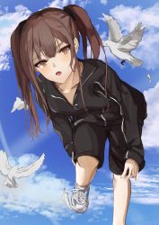 Rule 34 | 1girl, bird, black jacket, black shorts, blue sky, blush, breasts, brown eyes, brown hair, collarbone, highres, jacket, jersey, long hair, looking at viewer, open mouth, original, pigeon, shoes, shorts, sky, small breasts, sneakers, solo, spxn7787, standing, standing on one leg, track jacket, track suit, twintails, white footwear