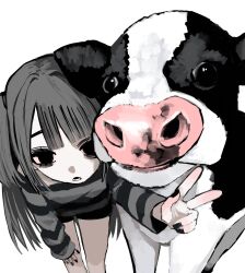 Rule 34 | 1girl, animal, black eyes, black nails, blunt bangs, cow, feet out of frame, grey hair, grey shirt, hand up, highres, leaning forward, long hair, long sleeves, looking at viewer, nail polish, open mouth, original, shirt, simple background, solo, standing, striped clothes, striped shirt, urokogaran, v, white background