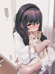 Rule 34 | 1girl, animal, animal hug, black hair, black hairband, blush, cat, cat hair ornament, chromatic aberration, closed mouth, commentary request, electrical outlet, film grain, hair between eyes, hair ornament, hairband, hairclip, highres, indoors, long hair, long sleeves, looking at viewer, original, puffy long sleeves, puffy sleeves, red eyes, shirt, smile, solo, tifg39, upper body, white shirt