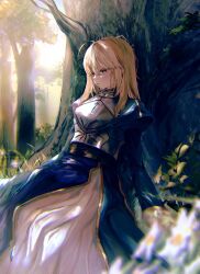 Rule 34 | 1girl, ahoge, armor, artoria pendragon (all), artoria pendragon (fate), blonde hair, blue dress, breastplate, dress, fate/stay night, fate (series), forest, green eyes, hair down, highres, juliet sleeves, light rays, long hair, long sleeves, lying, nature, nigiri, outdoors, puffy sleeves, saber (fate), sleeping, sleeping with eyes open, solo, sunbeam, sunlight, tree