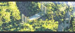 Rule 34 | artist name, blurry, bridge, day, forest, from above, highres, letterboxed, nature, no humans, original, scenery, signature, sunlight, tower, tree, waisshu (sougyokyuu)