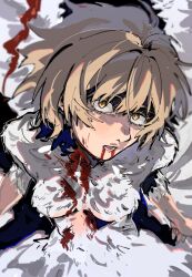 Rule 34 | 1girl, blonde hair, blood, blood from mouth, blood on face, blush, body fur, breasts, chimera, commentary, dungeon meshi, falin touden, falin touden (chimera), feathers, hair between eyes, highres, looking at viewer, medium breasts, monster girl, open mouth, orange eyes, short hair, solo, wahootarou, white fur