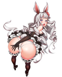 Rule 34 | 1girl, :d, animal ears, ass, ass grab, bare shoulders, bent over, black dress, black gloves, black thighhighs, bluehole studio, cameltoe, cleft of venus, dress, drill hair, elbow gloves, elin, flat chest, flower, frilled thighhighs, frills, from behind, gloves, hair flower, hair ornament, highres, long hair, looking at viewer, looking back, lucknight, naughty face, nipples, open mouth, panties, partially visible vulva, petite, purple eyes, rabbit ears, rabbit tail, silver hair, smile, solo, tail, tera online, thighhighs, tongue, tongue out, underwear, very long hair, white panties