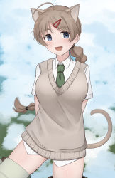 Rule 34 | 1girl, absurdres, animal ears, arms behind back, blue eyes, blush, braid, braided ponytail, breasts, brown hair, cat ears, cat tail, emu 1316, flying, green necktie, hair ornament, hairclip, highres, large breasts, long hair, lynette bishop, necktie, open mouth, ponytail, shiny skin, sky, smile, solo, strike witches, striker unit, sweater, tail, world witches series