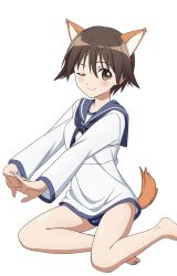Rule 34 | 1girl, animal ears, blue one-piece swimsuit, blue sailor collar, brown eyes, brown hair, dog ears, dog tail, highres, kanata mako, long sleeves, looking at viewer, miyafuji yoshika, one-piece swimsuit, one eye closed, sailor collar, sailor shirt, school swimsuit, shirt, short hair, simple background, solo, strike witches, swimsuit, tail, white background, world witches series