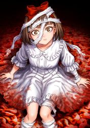 Rule 34 | 1girl, absurdres, bandage on face, bandaged arm, bandaged leg, bandages, blood, blood on clothes, bow, breasts, brown eyes, brown hair, closed mouth, dress, hair bow, highres, kirino naoko, looking at viewer, medium breasts, official art, pumpkin night, short hair, solo, staring, taniguchi seima, white dress, wide-eyed
