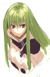 Rule 34 | 00s, 1girl, brown eyes, c.c., code geass, eyebrows, green hair, long hair, long sleeves, looking at viewer, morii shizuki, sidelocks, simple background, solo, turtleneck, upper body, white background, yellow eyes