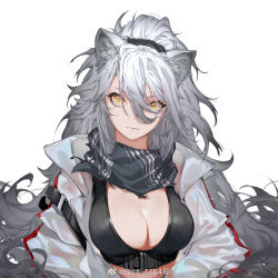 Rule 34 | 1girl, animal ears, arknights, black scarf, breasts, cat ears, cleavage, crop top, hair between eyes, jacket, large breasts, long hair, messy hair, open clothes, open jacket, ponytail, scarf, schwarz (arknights), silver hair, sola7764, solo, upper body, white background, yellow eyes