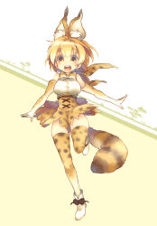 Rule 34 | 10s, 1girl, :d, animal ears, animal print, belt, bow, bowtie, breasts, cat ears, cat tail, colored eyelashes, elbow gloves, extra ears, footwear bow, full body, gloves, high-waist skirt, highres, kemono friends, lace, leg up, multicolored hair, open mouth, orange hair, outstretched arms, scarf, serval (kemono friends), serval print, serval tail, shirt, shishitoumaru, shoes, short hair, skirt, sleeveless, sleeveless shirt, smile, solo, streaked hair, striped tail, tail, teeth, thighhighs, tree, white footwear