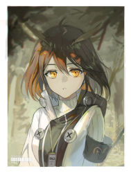Rule 34 | 1girl, arknights, armband, black armband, border, brown hair, commentary request, feather hair, highres, id card, lanyard, medium hair, rhine lab logo, shirt, silence (arknights), solo, soyoong jun, turtleneck, upper body, white border, white shirt, yellow eyes