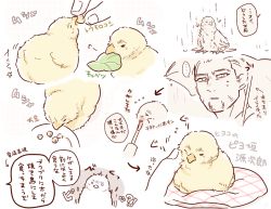Rule 34 | 1boy, animal focus, bird, chick, collage, commentary request, facial hair, facial scar, feeding, goatee, golden kamuy, holding, holding umbrella, kaniharu, leaf, long sideburns, male focus, multiple views, ogata hyakunosuke, petting, scar, scar on cheek, scar on face, short hair, sideburns, spot color, sweatdrop, translation request, umbrella