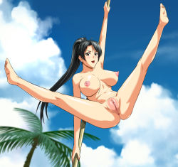 Rule 34 | 1girl, anus, black hair, blurry, blurry background, breasts, clitoral hood, cloud, completely nude, dead or alive, dutch angle, full body, high ponytail, highres, large breasts, long hair, metagraft, momiji (ninja gaiden), ninja gaiden, nipples, nude, outdoors, palm tree, pole, pole dancing, public indecency, puffy areolae, pussy, sky, smile, solo, spread legs, tagme, tecmo, tree, uncensored