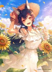 Rule 34 | 1girl, :d, akagi shun, animal ears, bare shoulders, black hair, bracelet, cloud, copyright notice, cowboy shot, day, double-parted bangs, dress, falling petals, fangs, flower, frills, hair ornament, hairclip, hand on headwear, hands up, hat, head tilt, hololive, jewelry, lens flare, light particles, looking at viewer, low ponytail, multicolored hair, necklace, off-shoulder dress, off shoulder, official art, ookami mio, open mouth, orange eyes, petals, red hair, short sleeves, single wrist cuff, smile, spaghetti strap, standing, straw hat, streaked hair, sun hat, sundress, sunflower, teeth, upper teeth only, virtual youtuber, white dress, white hair, white wrist cuffs, wolf ears, wolf girl, wrist cuffs, yellow flower