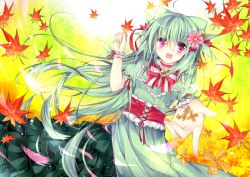 Rule 34 | 1girl, blush, bow, creatures (company), dress, flower, frills, game freak, gen 3 pokemon, green hair, hair flower, hair ornament, holding, homare, leaf, long hair, looking at viewer, maple leaf, nintendo, personification, pink eyes, pokemon, puffy sleeves, reaching, reaching towards viewer, ribbon, sceptile, sidelocks, solo, wallpaper, wristband