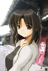 Rule 34 | 1girl, brown eyes, brown hair, cardigan, flag, hana (hana mo arashi mo), long hair, original, solo