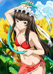 Rule 34 | 1girl, arm up, bikini, blue sky, bow, breasts, brown eyes, brown hair, cleavage, closed mouth, cloud, collarbone, cowboy shot, day, flower, groin, hair bow, hair ribbon, hose, ikkitousen, long hair, navel, outdoors, red bikini, ribbon, sarong, side-tie bikini bottom, sky, small breasts, smile, solo, standing, sunflower, swimsuit, ten&#039;i (ikkitousen), very long hair, white bow, white ribbon, yellow flower