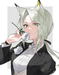 Rule 34 | 1girl, animal ears, arknights, black jacket, boutonniere, bow, bowtie, breasts, collared shirt, commentary request, flower, green eyes, grey hair, hand up, highres, holding, holding flower, jacket, kal&#039;tsit (arknights), long hair, long sleeves, looking at viewer, low ponytail, official alternate costume, parted lips, ribbon, shirt, small breasts, solo, upper body, watch, white ribbon, white shirt, wristwatch, yakota (usuk-yako)