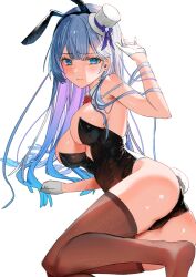 Rule 34 | 1girl, amahane miran, animal ears, ass, black leotard, blue eyes, blue hair, blush, breasts, brown thighhighs, closed mouth, commentary, commission, detached collar, fake animal ears, fake tail, flower, gloves, hand up, hat, highleg, highleg leotard, highres, large breasts, leotard, long hair, mini hat, playboy bunny, rabbit ears, rabbit tail, red flower, red rose, rose, simple background, skeb commission, solo, star ring vpro, strapless, strapless leotard, symbol-only commentary, tail, takeno omoti, thighhighs, virtual youtuber, white background, white gloves, white hat