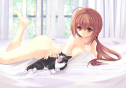 Rule 34 | 1girl, ahoge, bad feet, barefoot, bed, bed sheet, blanket, breasts, brown eyes, brown hair, cat, dreamlight2000, feet, highres, long hair, lying, naked sheet, nude, on stomach, original, solo, source request, window, yawning