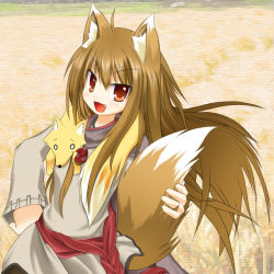 Rule 34 | 1girl, :d, animal, animal ears, brown hair, fang, field, fox, hand on own hip, holding, holding own tail, holding with tail, holo, long hair, open mouth, prehensile tail, red eyes, smile, spice and wolf, tachi yure, tail, wheat, wheat field, wolf ears, wolf tail