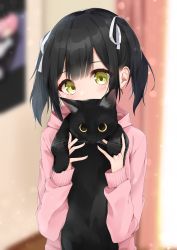 Rule 34 | 1girl, absurdres, animal, black cat, blurry, blurry background, blush, cat, commentary request, depth of field, fingernails, green eyes, hair between eyes, hair ribbon, hands up, head tilt, highres, hijouguti, holding, holding animal, holding cat, hood, hood down, hoodie, indoors, long sleeves, looking at viewer, original, pink hoodie, ribbon, sleeves past wrists, solo, twintails, upper body, white ribbon
