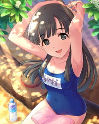 Rule 34 | 10s, 1girl, annindoufu (oicon), armpits, bottle, breasts, character name, cleavage, collarbone, grey eyes, grey hair, hand in own hair, hat, idolmaster, idolmaster cinderella girls, kobayakawa sae, leaf, long hair, looking at viewer, official art, open mouth, pink towel, ponytail, school swimsuit, scrunchie, solo, sun hat, swimsuit, towel, towel on legs, tying hair, water bottle