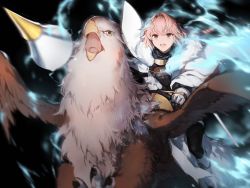 Rule 34 | 1boy, :d, androgynous, astolfo (fate), black background, braid, braided ponytail, brown eyes, fate/empire of dirt, fate (series), game cg, gauntlets, griffin, hair between eyes, long hair, motion blur, open mouth, pink hair, riding, smile, trap, tsuki tokage, yellow eyes